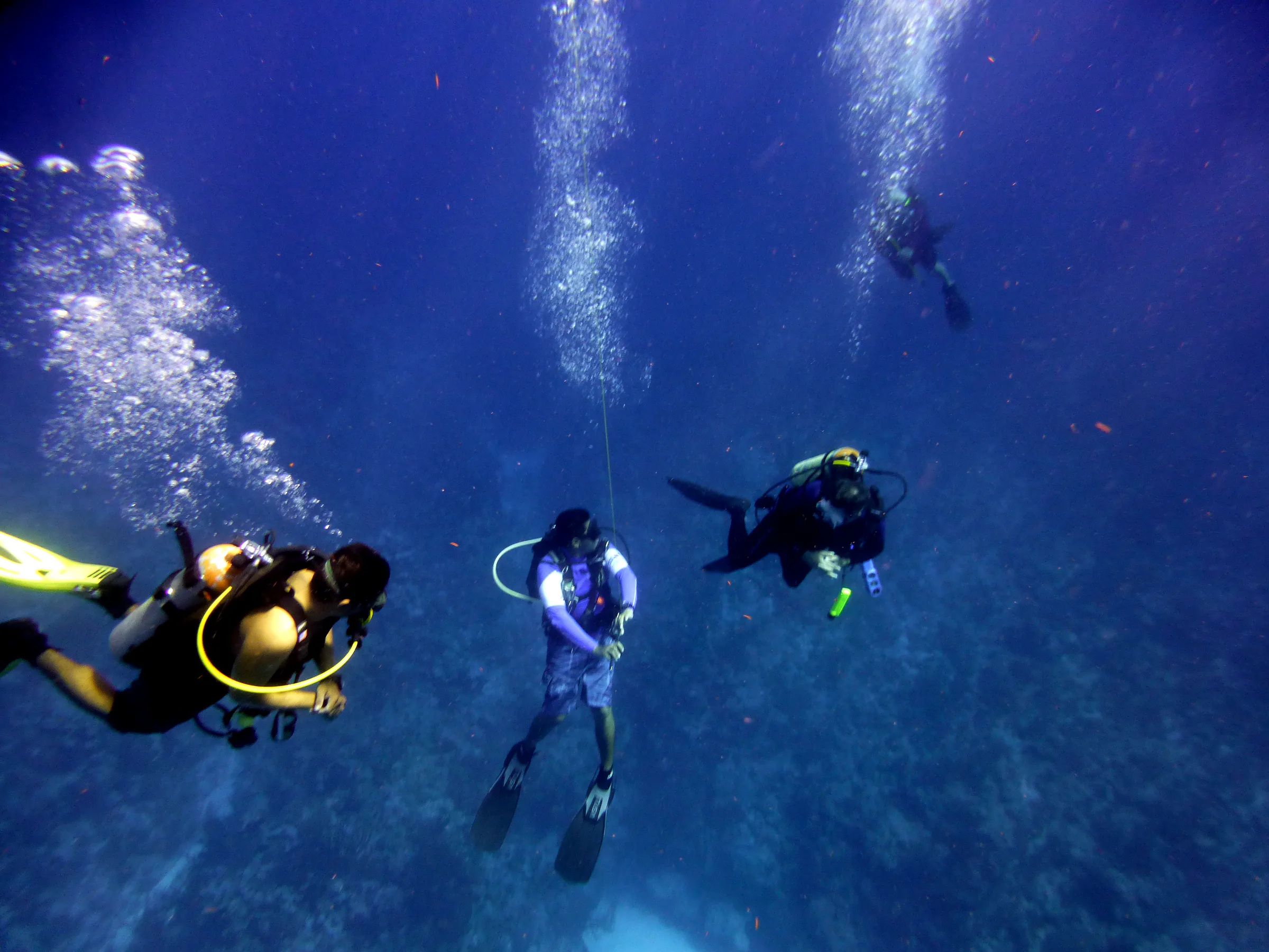 Belize underwater photograph, 2017