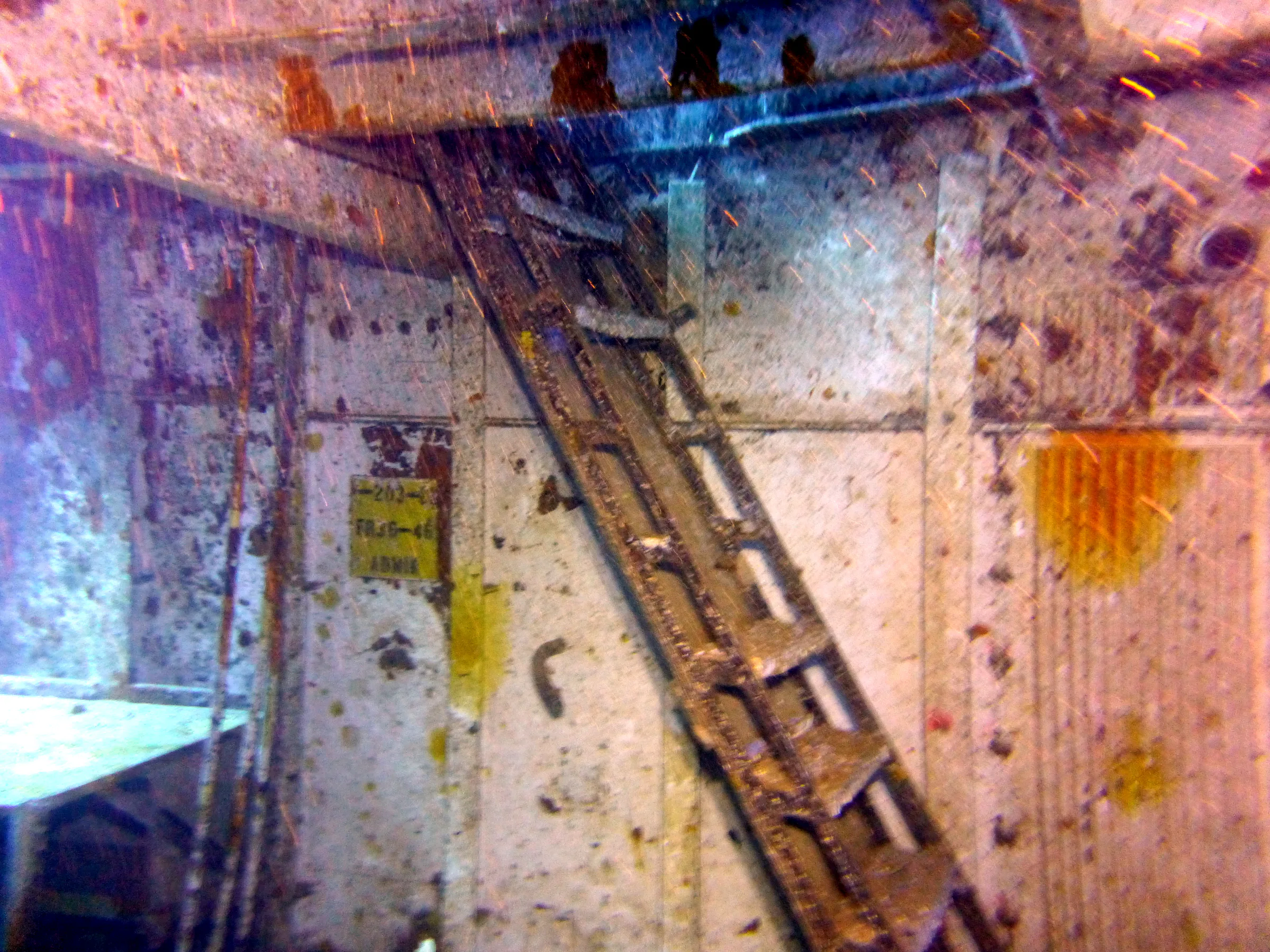 Cayman Islands underwater photograph, 2014