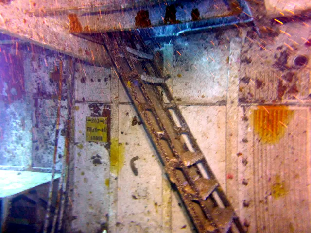 Underwater photograph by Joel Bergsma