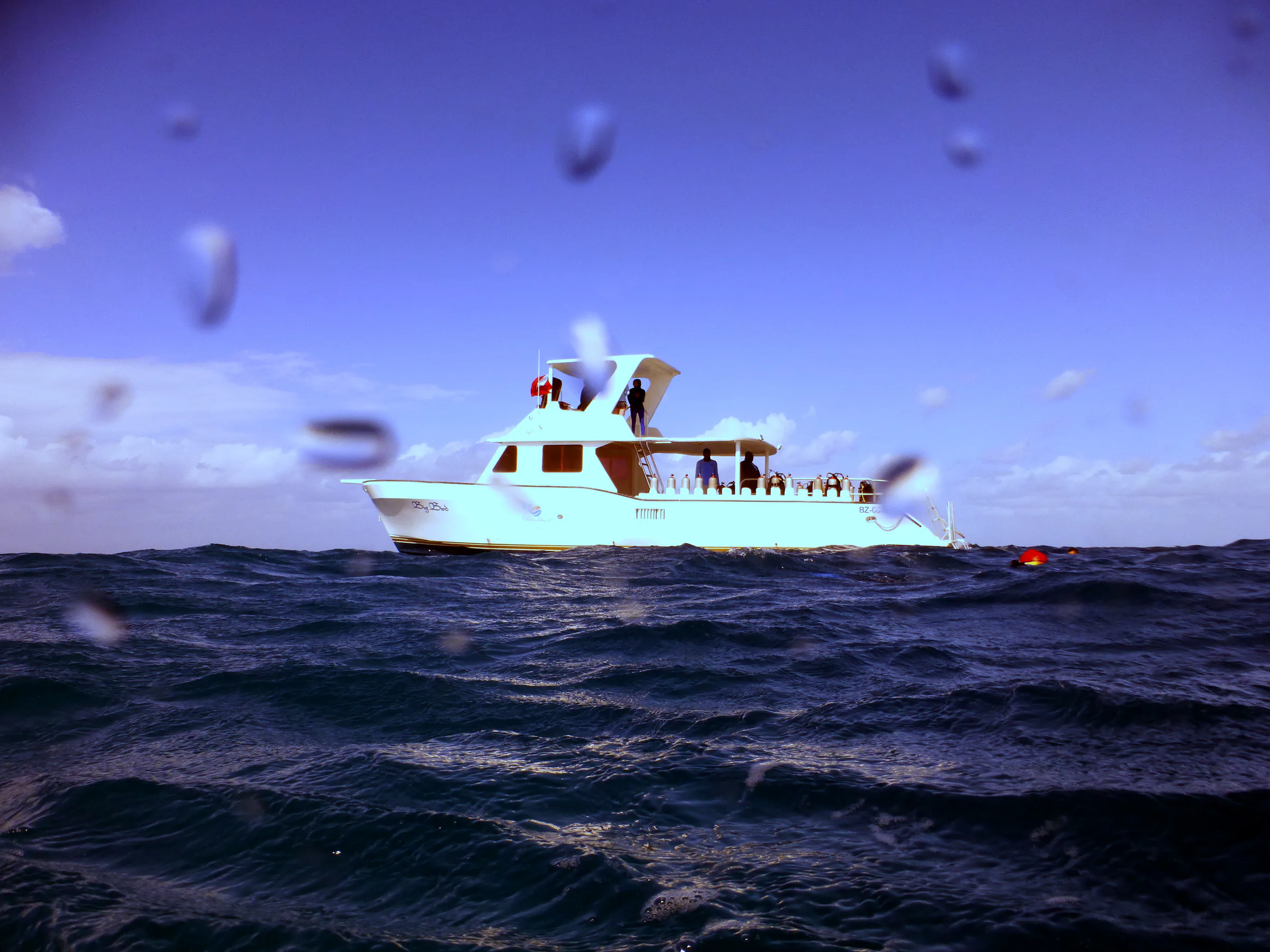 Belize underwater photograph, 2017