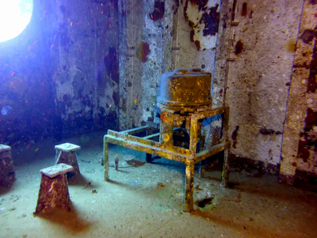 Underwater photograph by Joel Bergsma