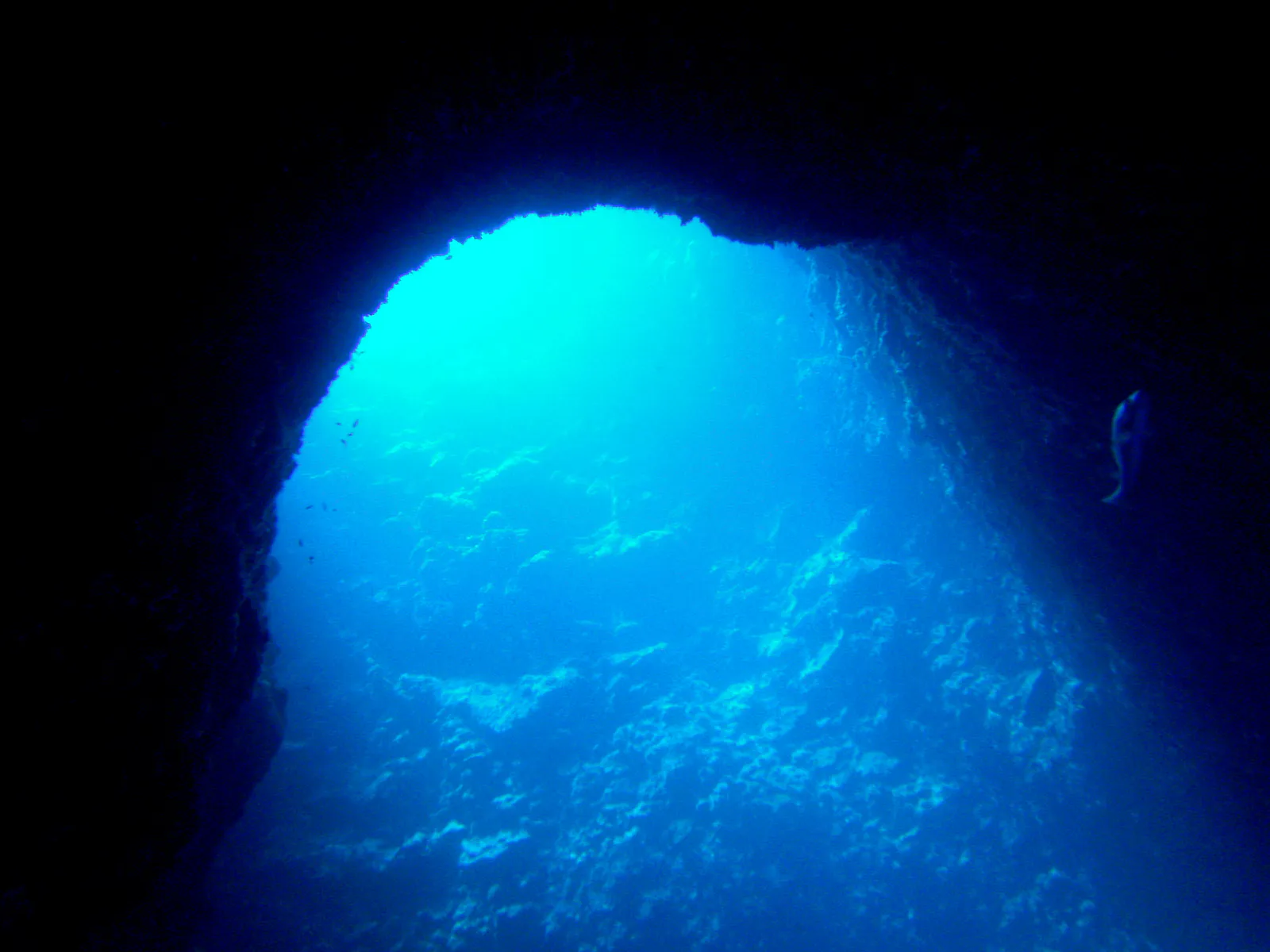 Looking toward an entrance to one of the blue holes from inside the cavern.