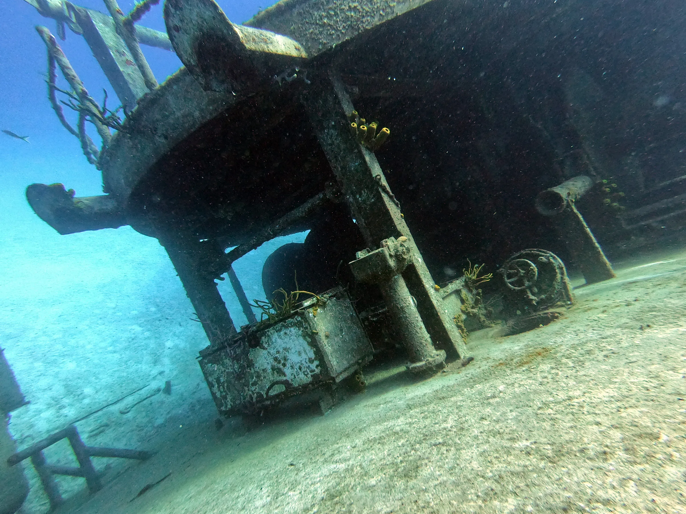 DCIM\100GOPRO\GOPR0982.JPG