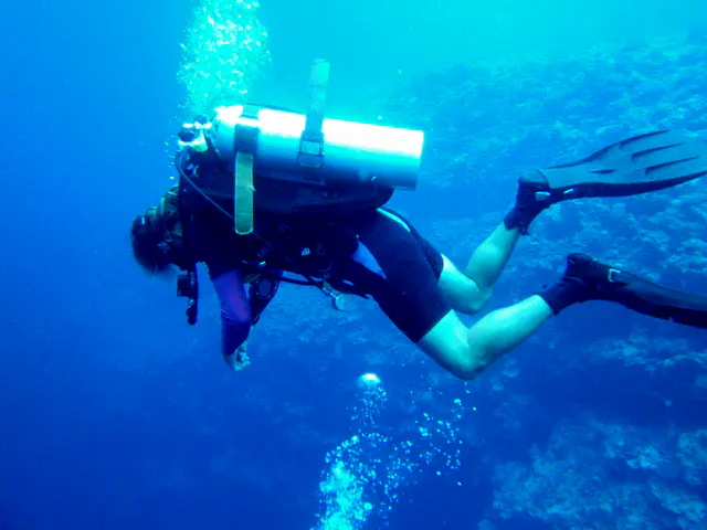 Motionless Diver at our safety stop.