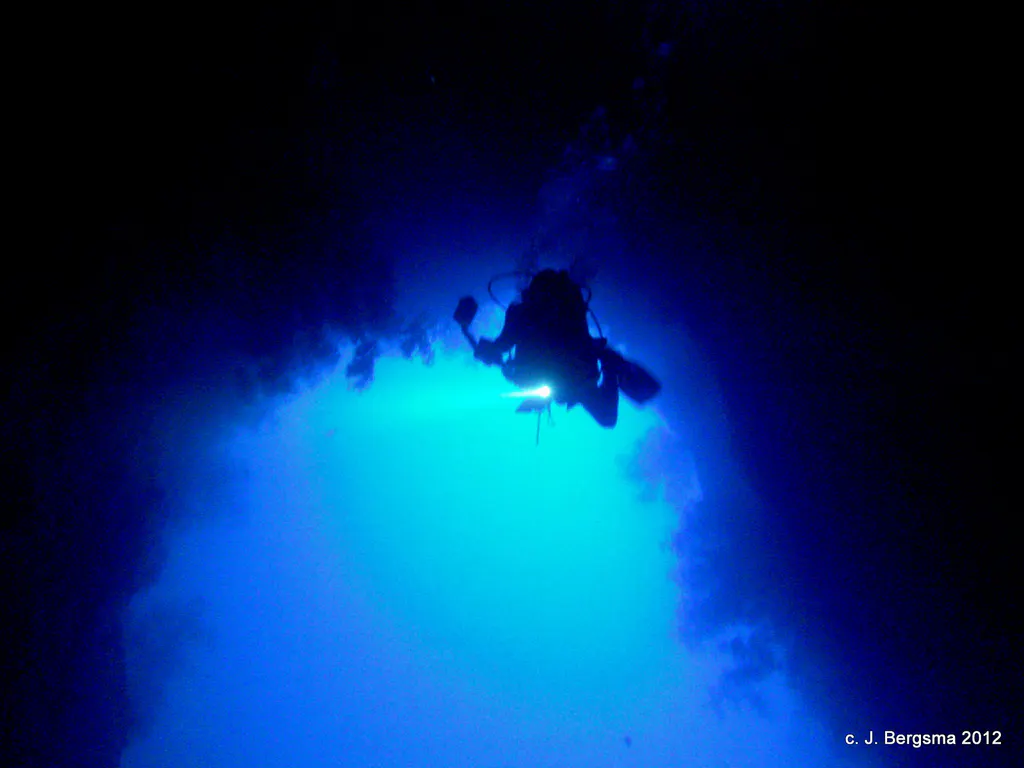 2012-02-05 Dives (2).JPG
