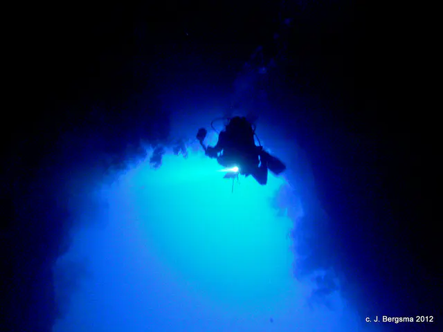 2012-02-05 Dives (2).JPG