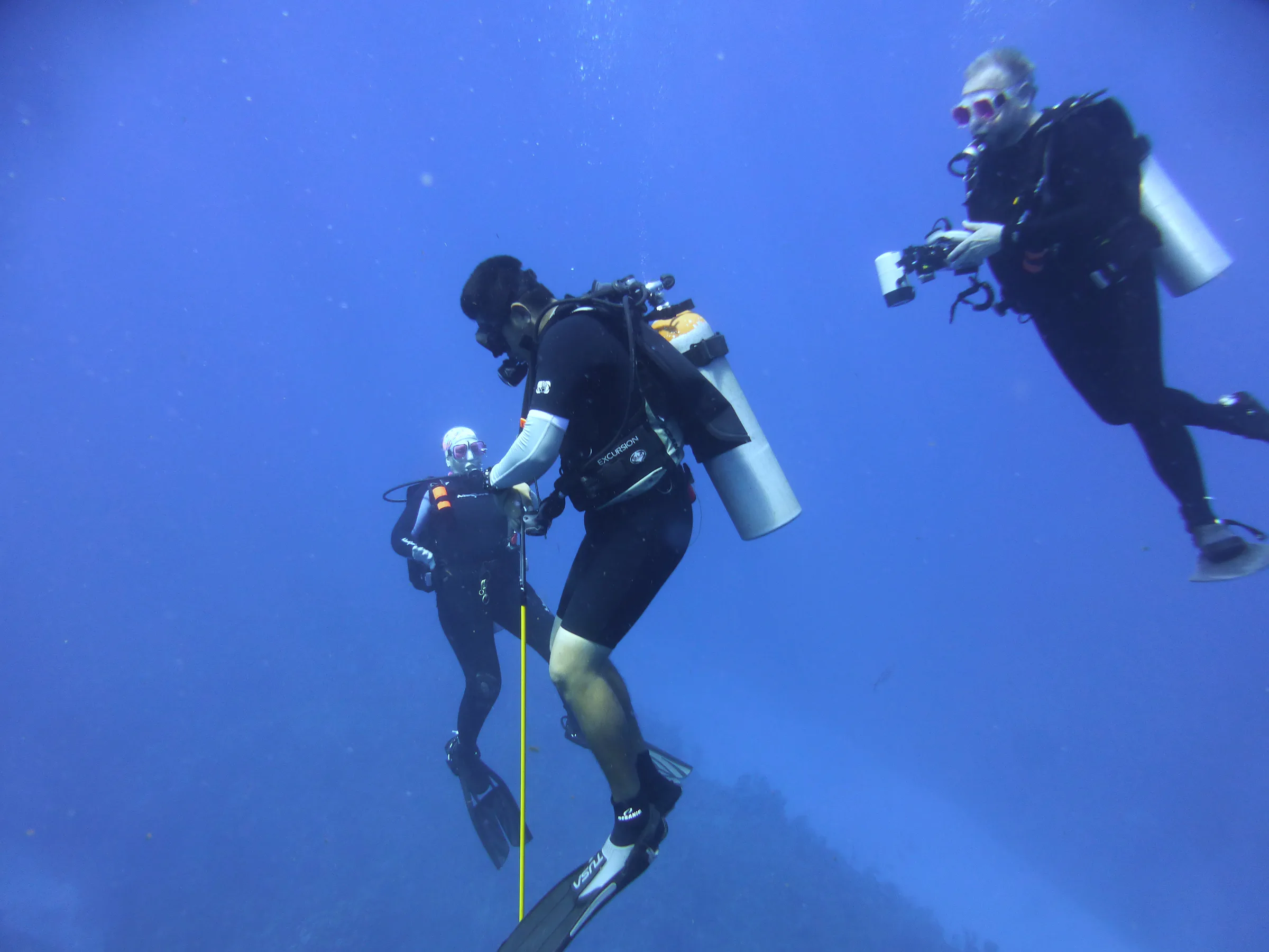 Belize underwater photograph, 2017