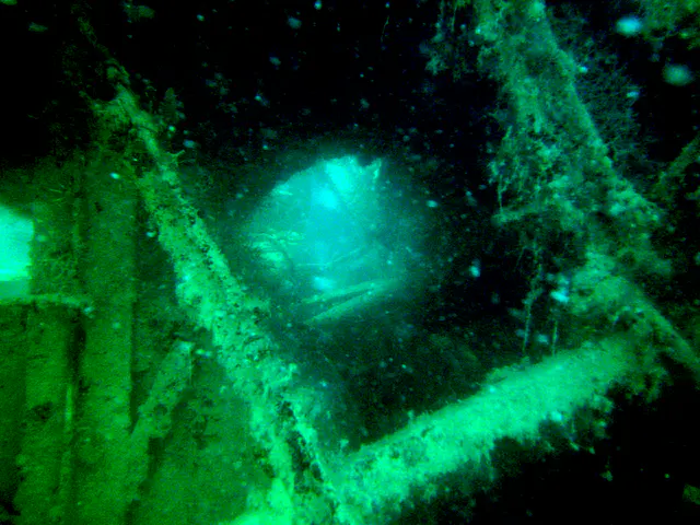 A rung of a ladder aboard the WWII Wreck Nagisan Maru.