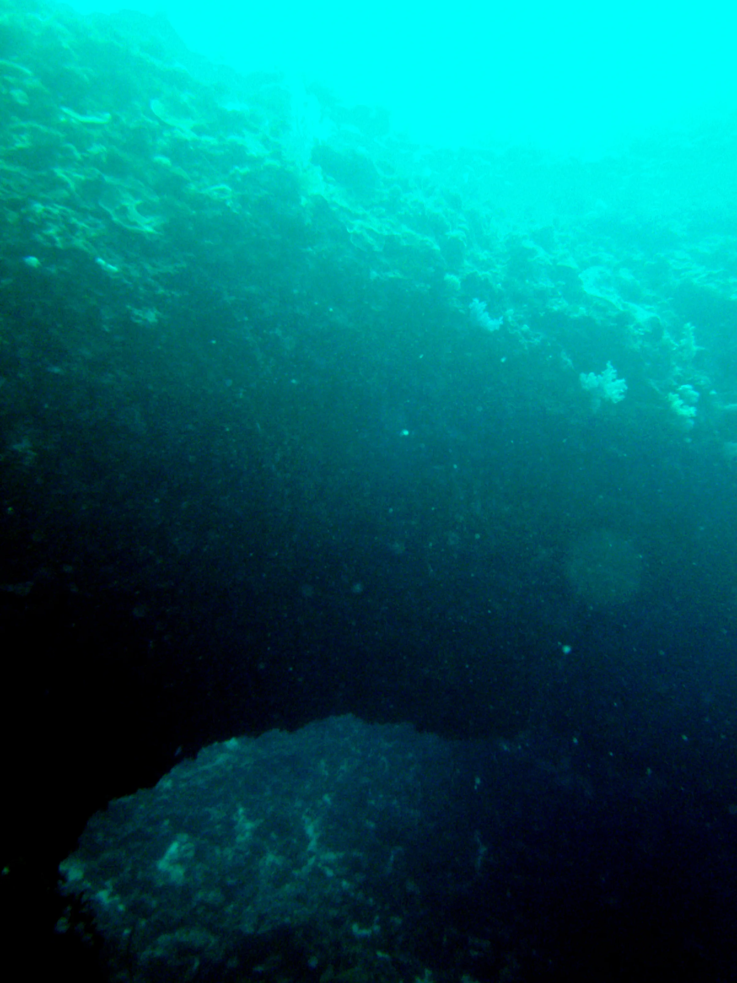 A portion of the Coral Bridge.