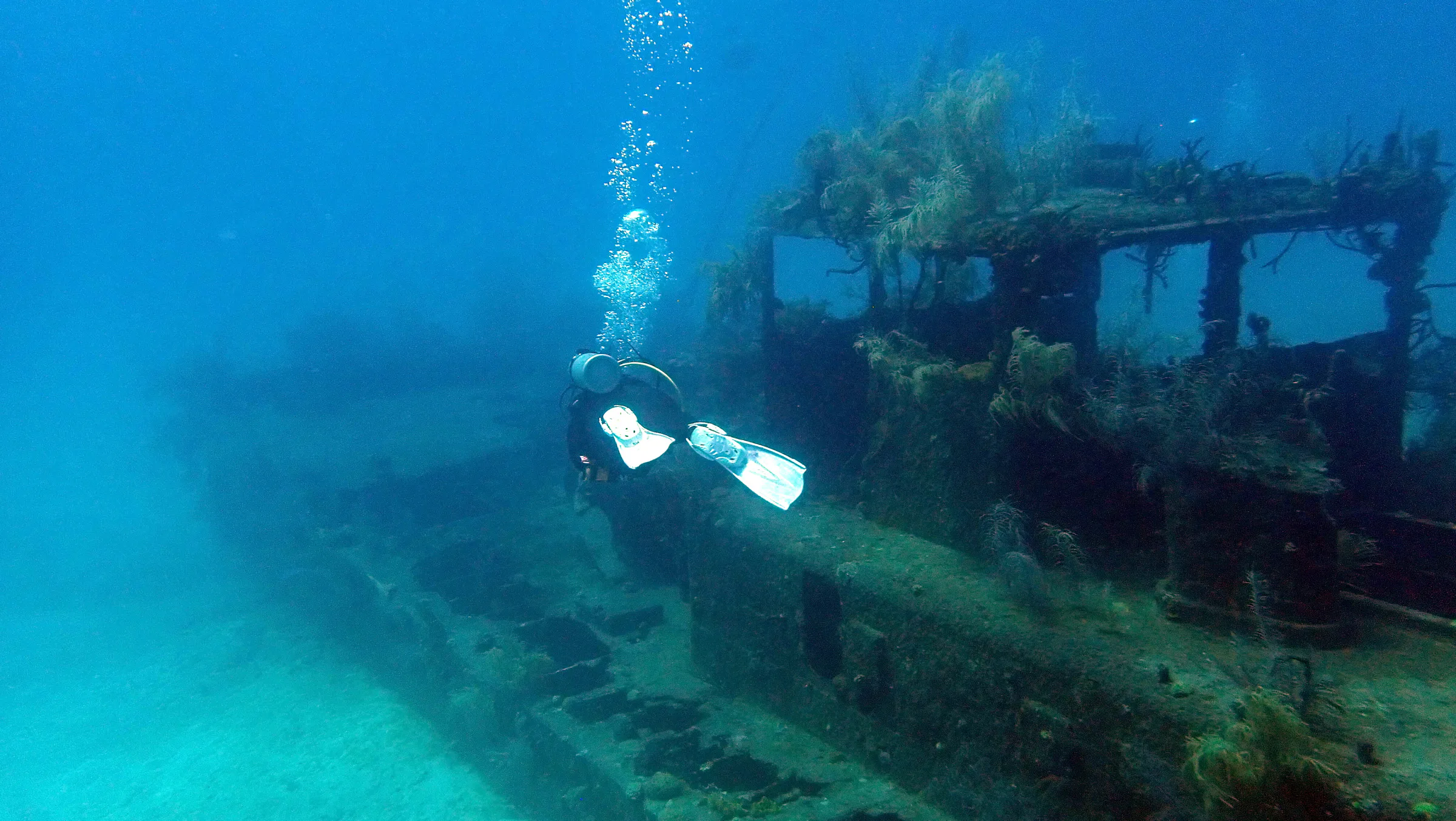 Cayman Islands underwater photograph, 2019