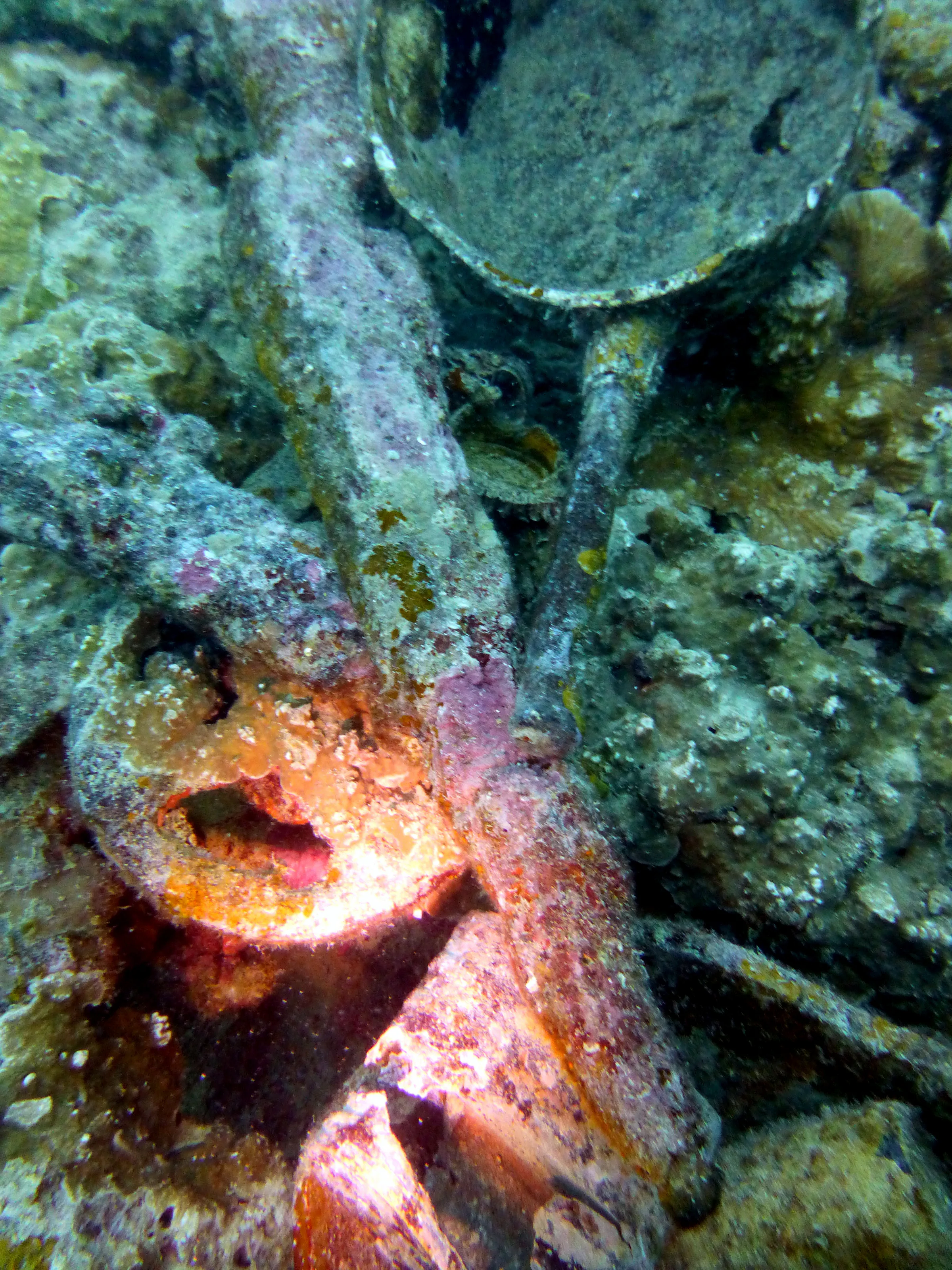 Palau underwater photograph, 2013