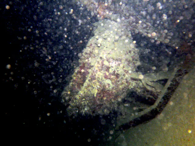 Rice cooker in the ship's galley. The ship rests on its side.