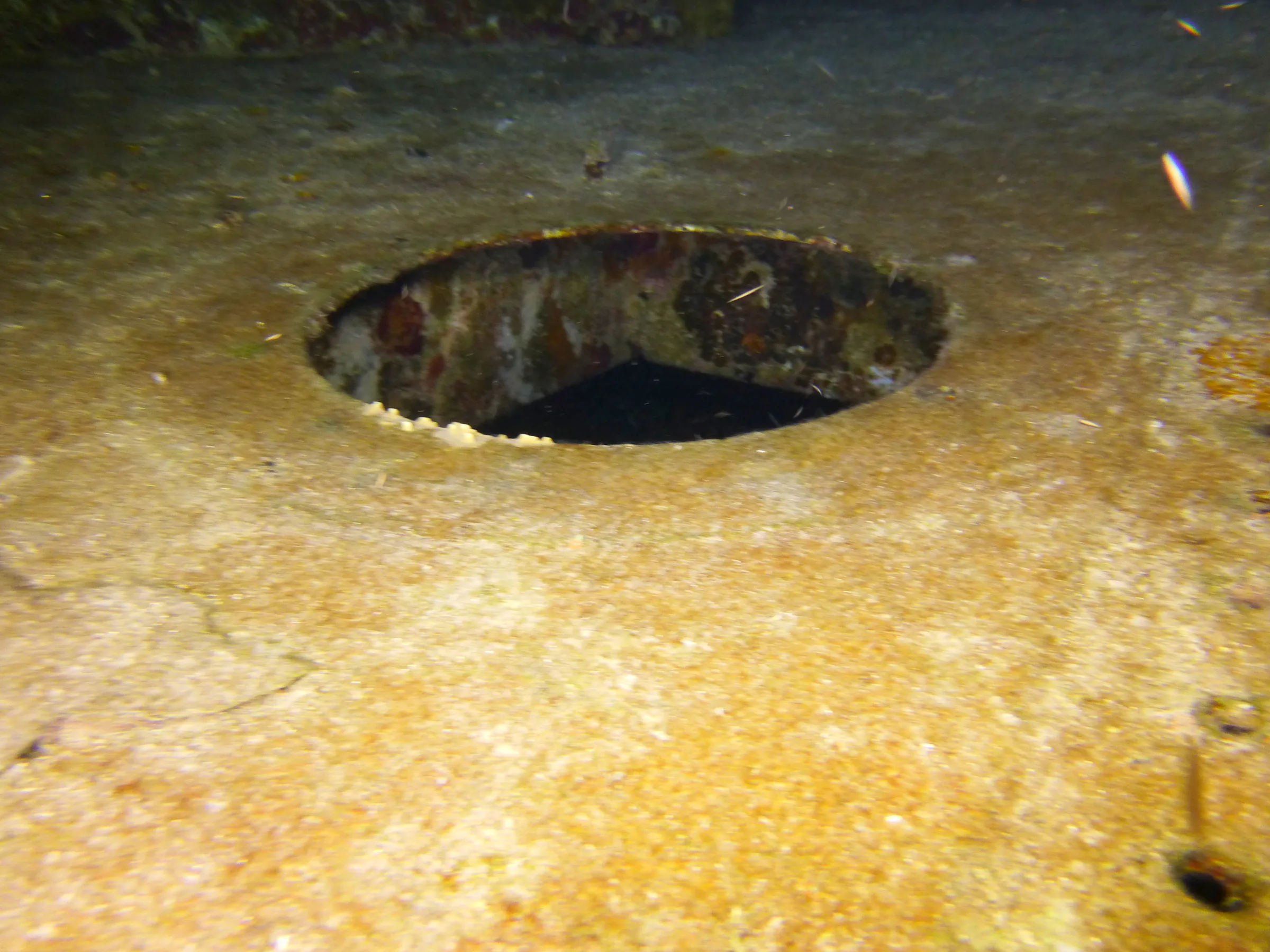 Cayman Islands underwater photograph, 2014