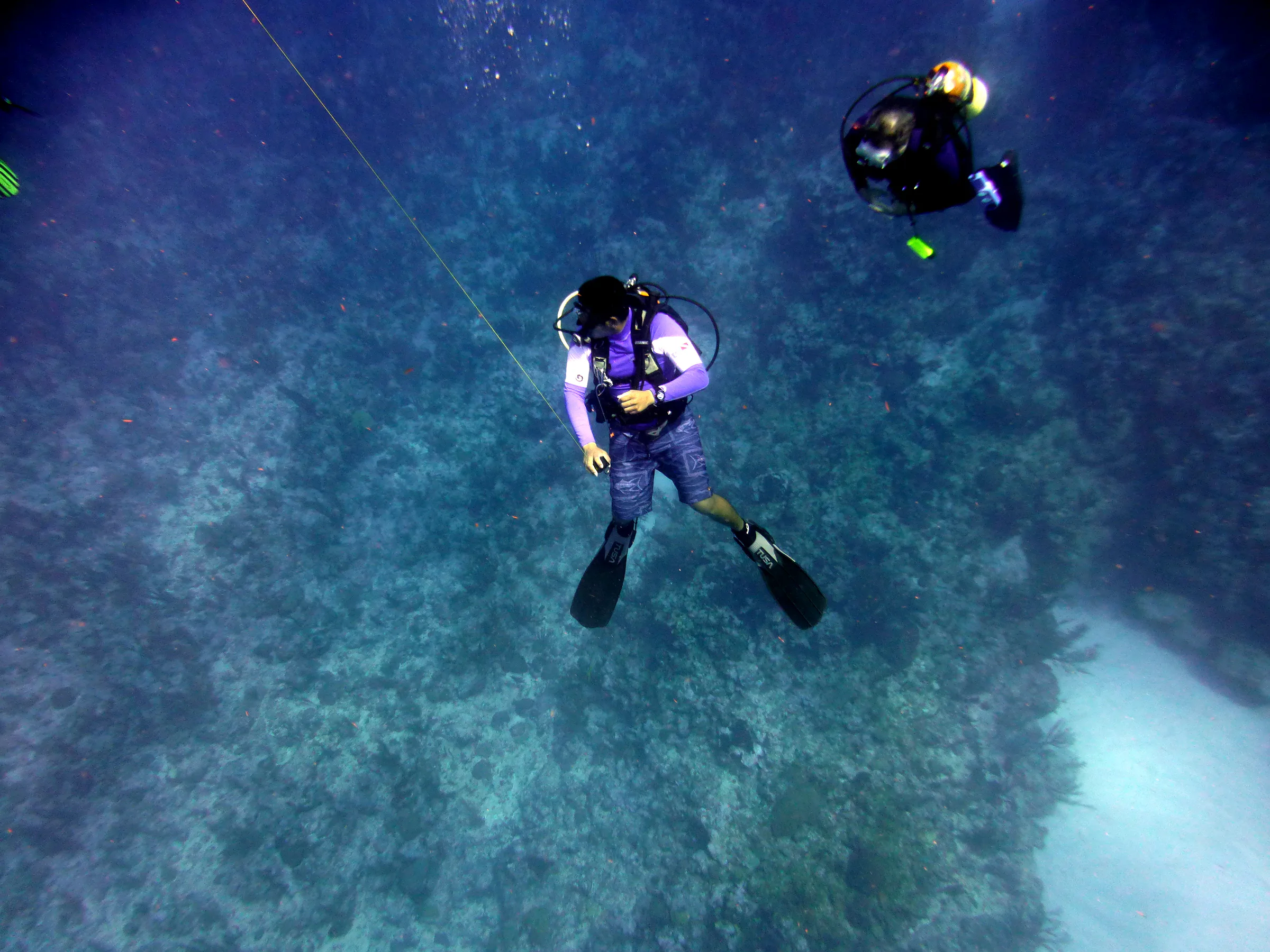 Belize underwater photograph, 2017