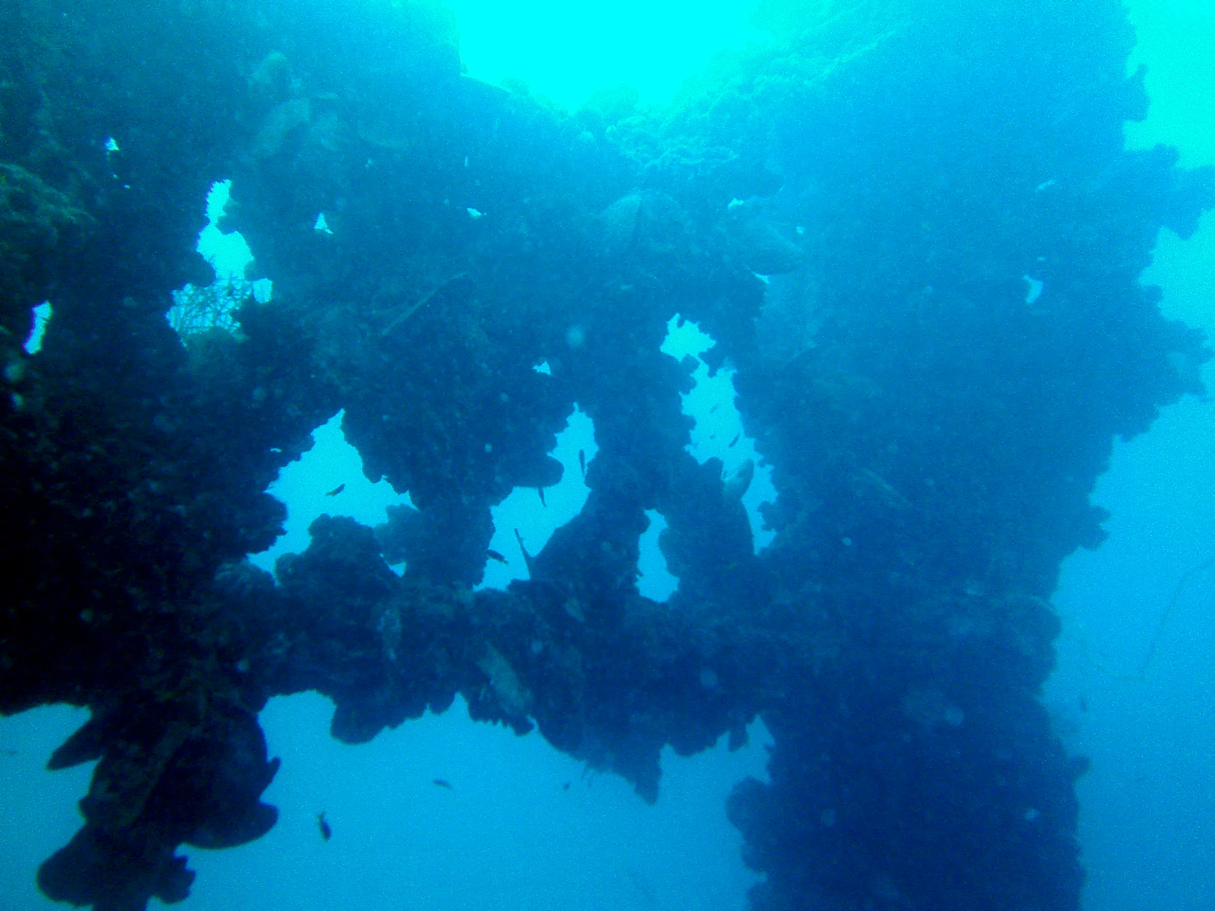 Ship's upright of the WWII Wreck Nagisan Maru.