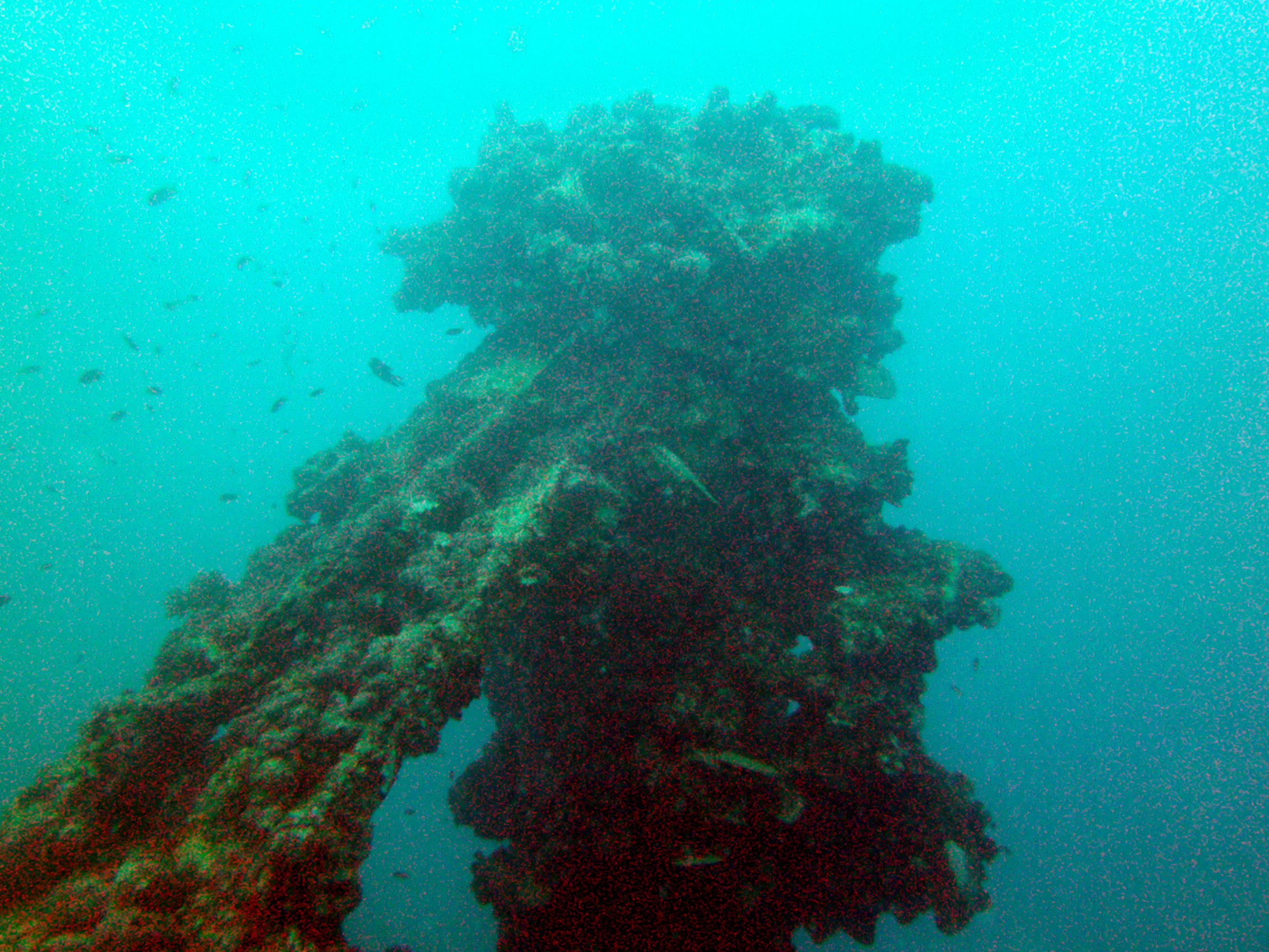 Support Beam Wreckage. Photo taken on the Main deck of the WWII Wreck Nagisan Maru.