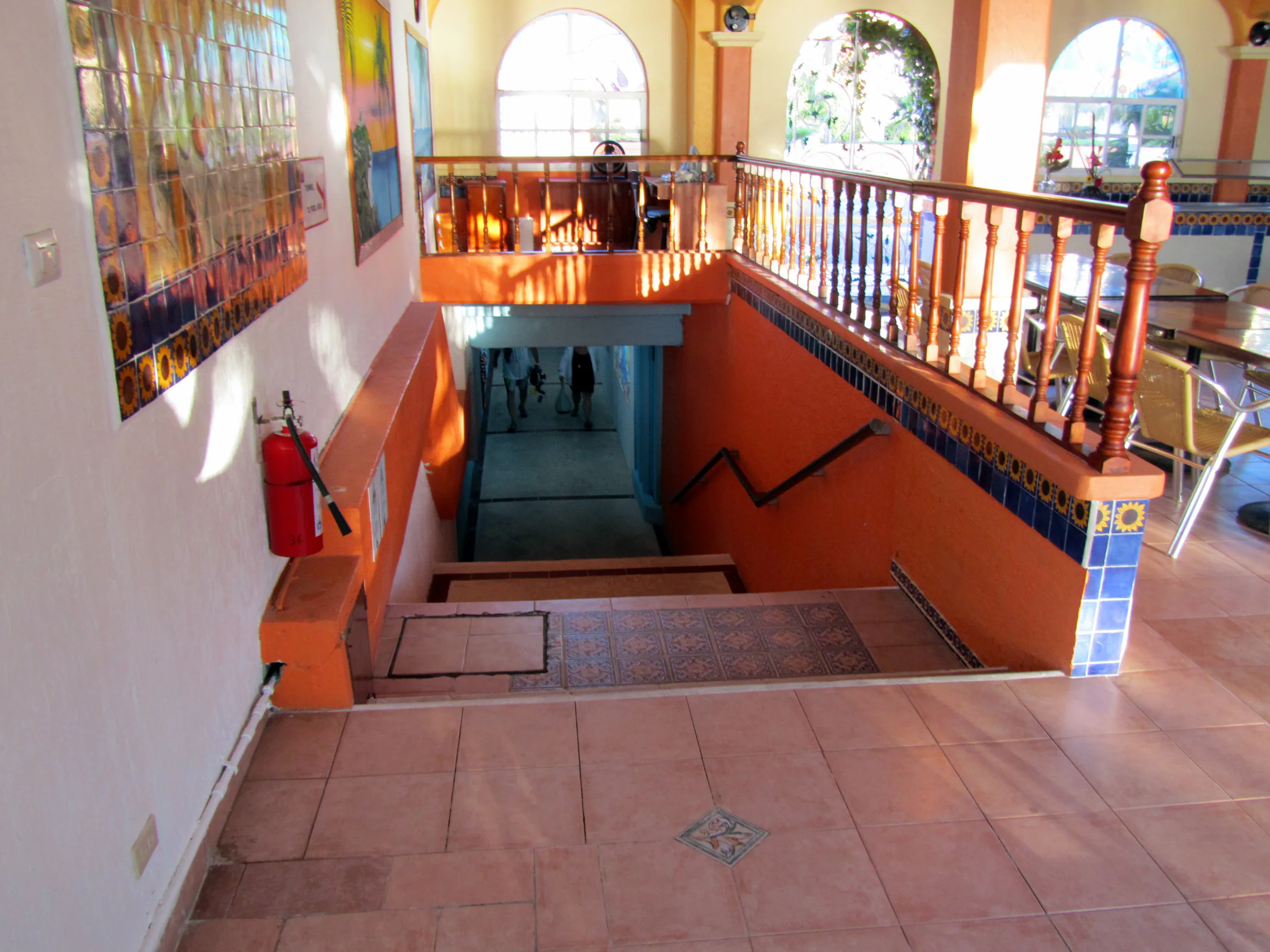 Cozumel underwater photograph, 2012