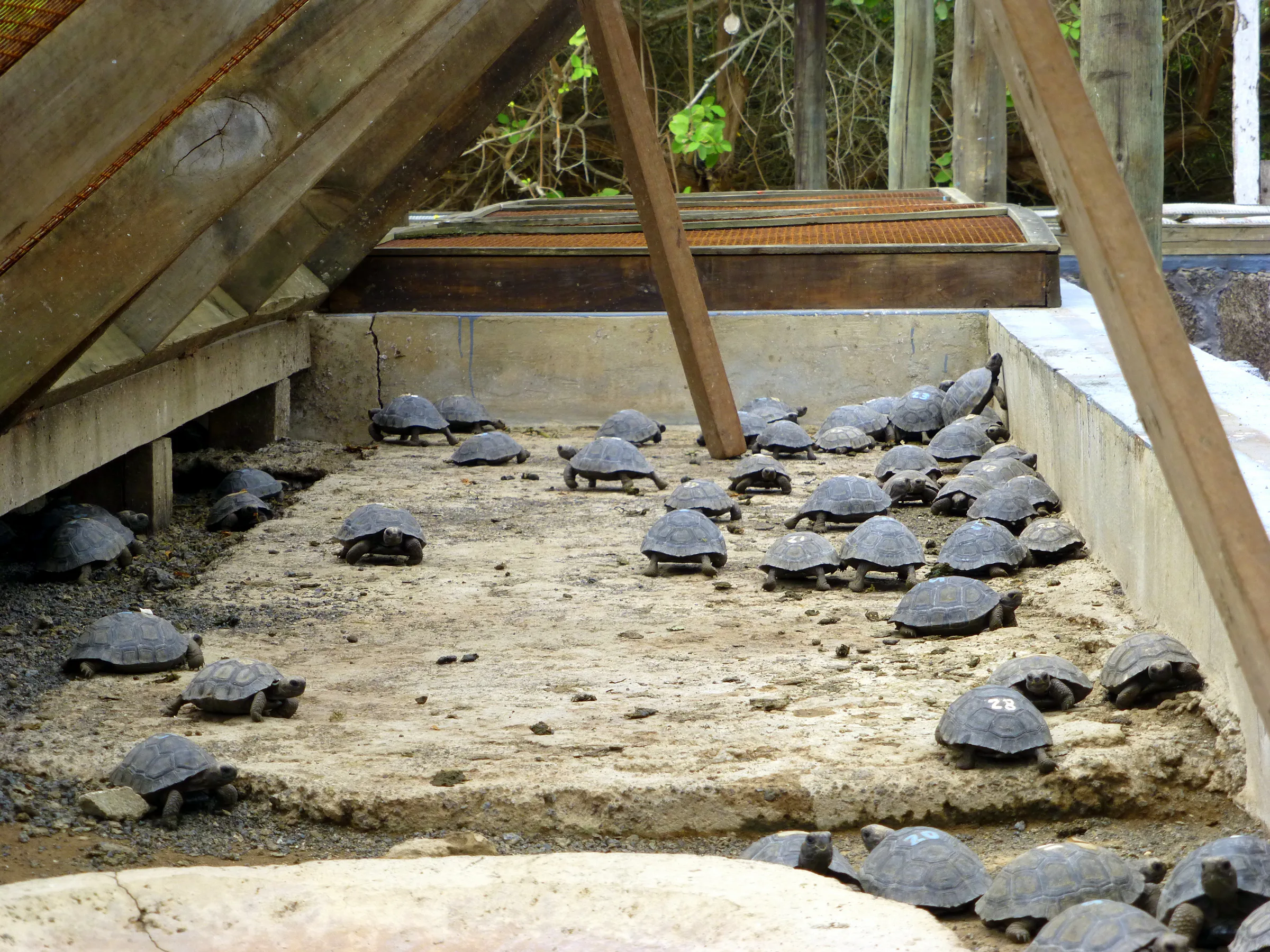 Juveniles are housed here.