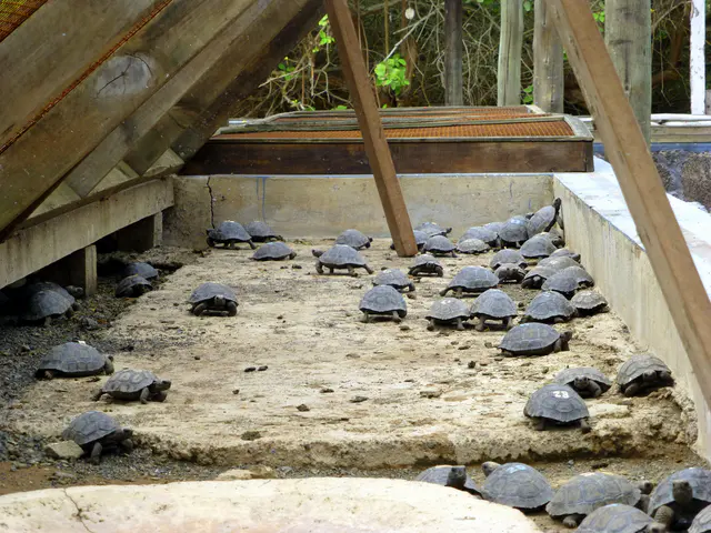 Juveniles are housed here.