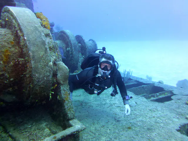 Underwater photograph by Joel Bergsma