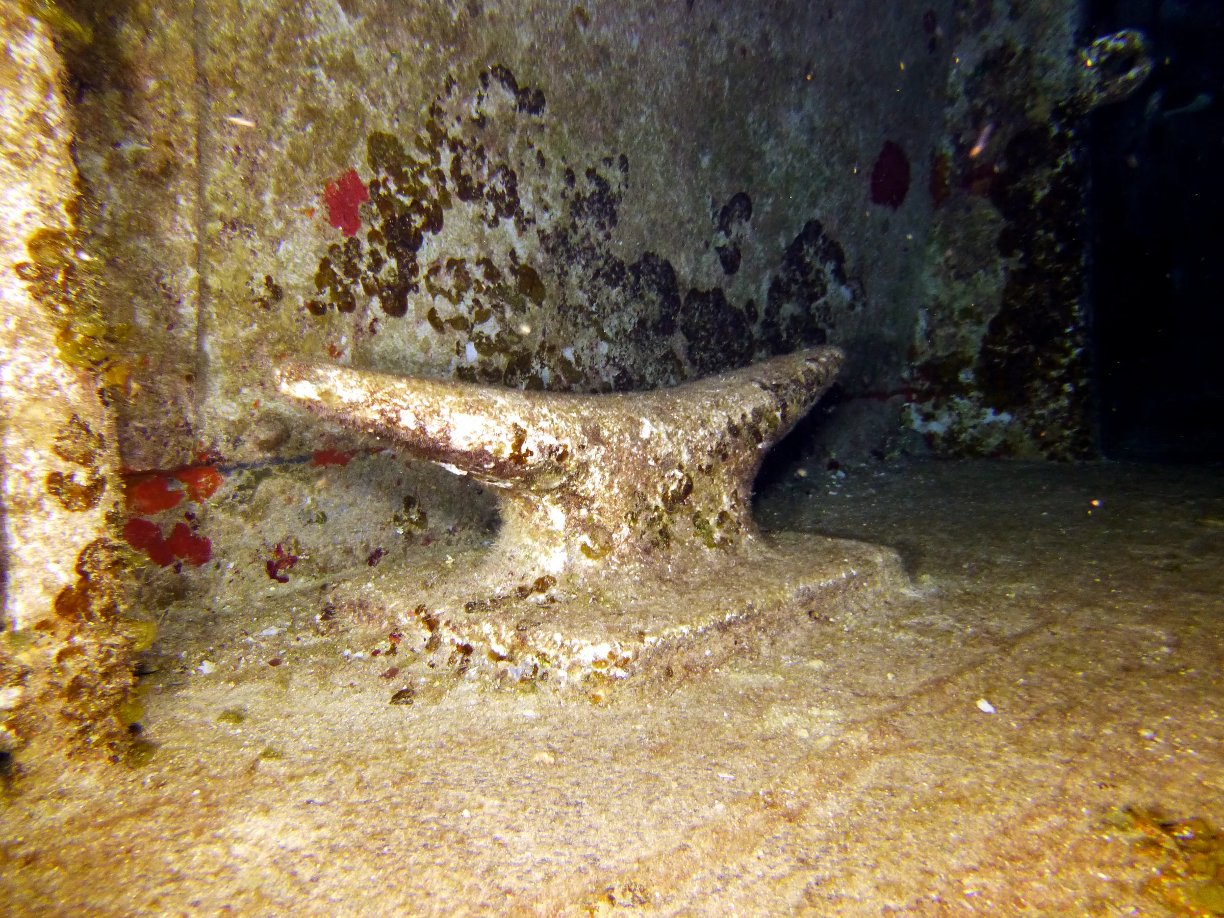 Cayman Islands underwater photograph, 2014