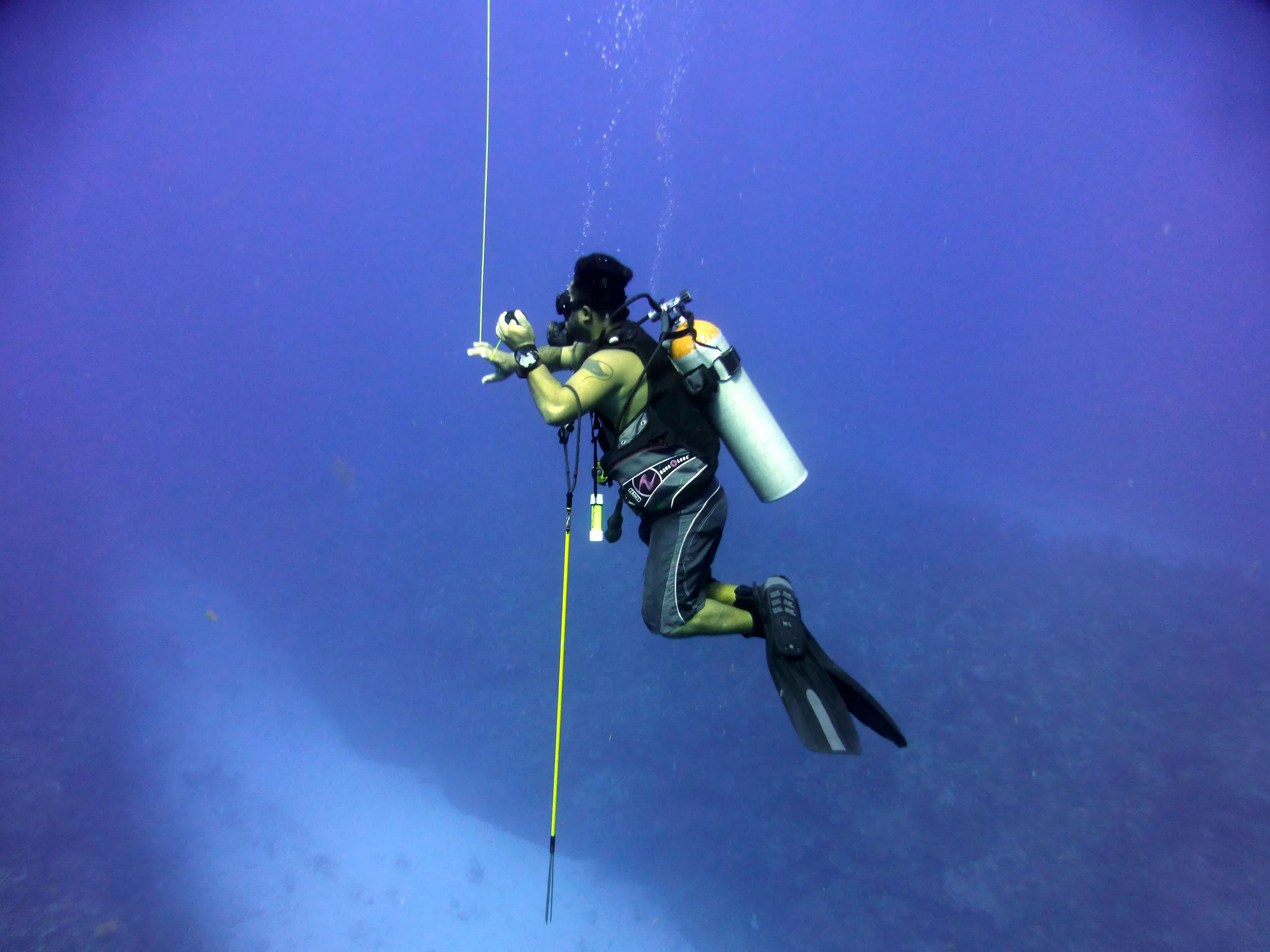 Belize underwater photograph, 2017