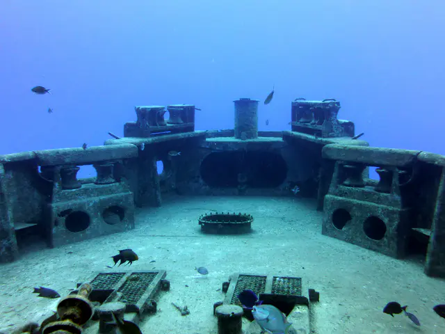 Underwater photograph by Joel Bergsma