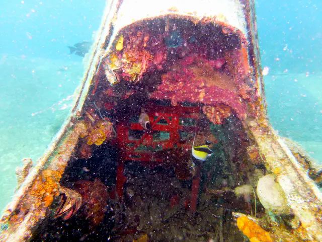 Red Back of the Pilot's Chair.