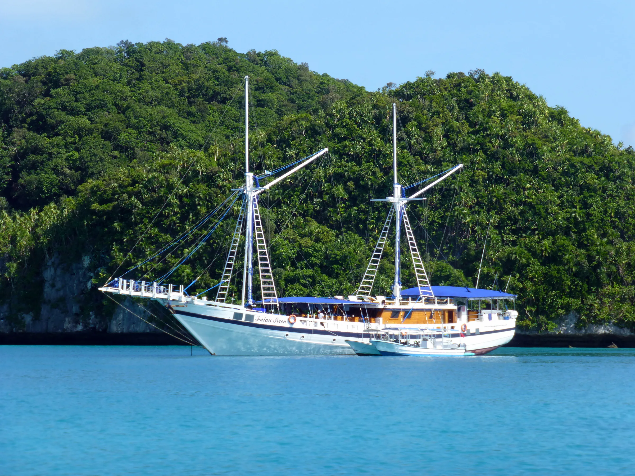 Palau underwater photograph, 2013