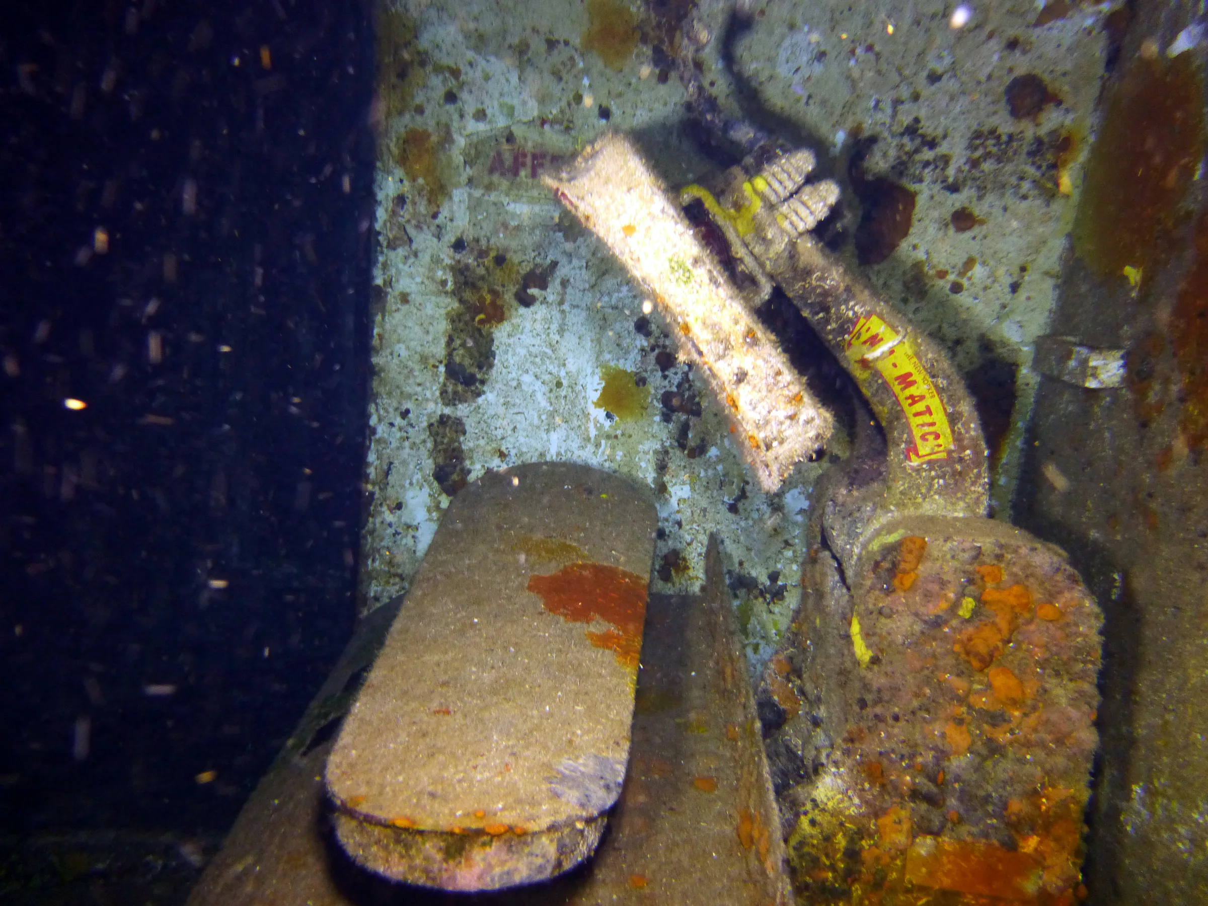 Cayman Islands underwater photograph, 2014