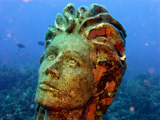 Underwater photograph by Joel Bergsma