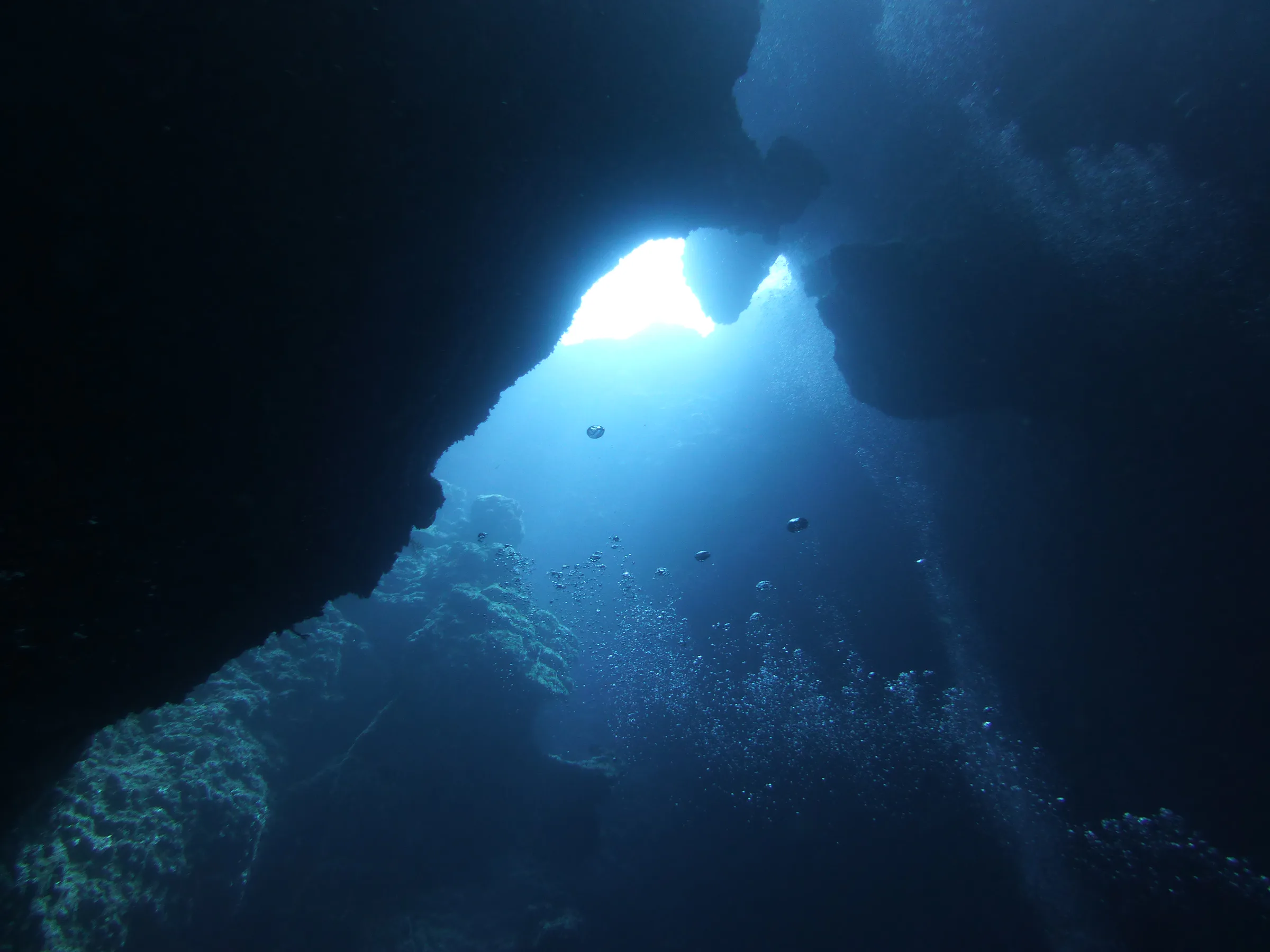 Palau underwater photograph, 2013
