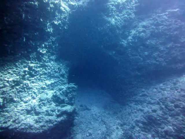Underwater photograph by Joel Bergsma