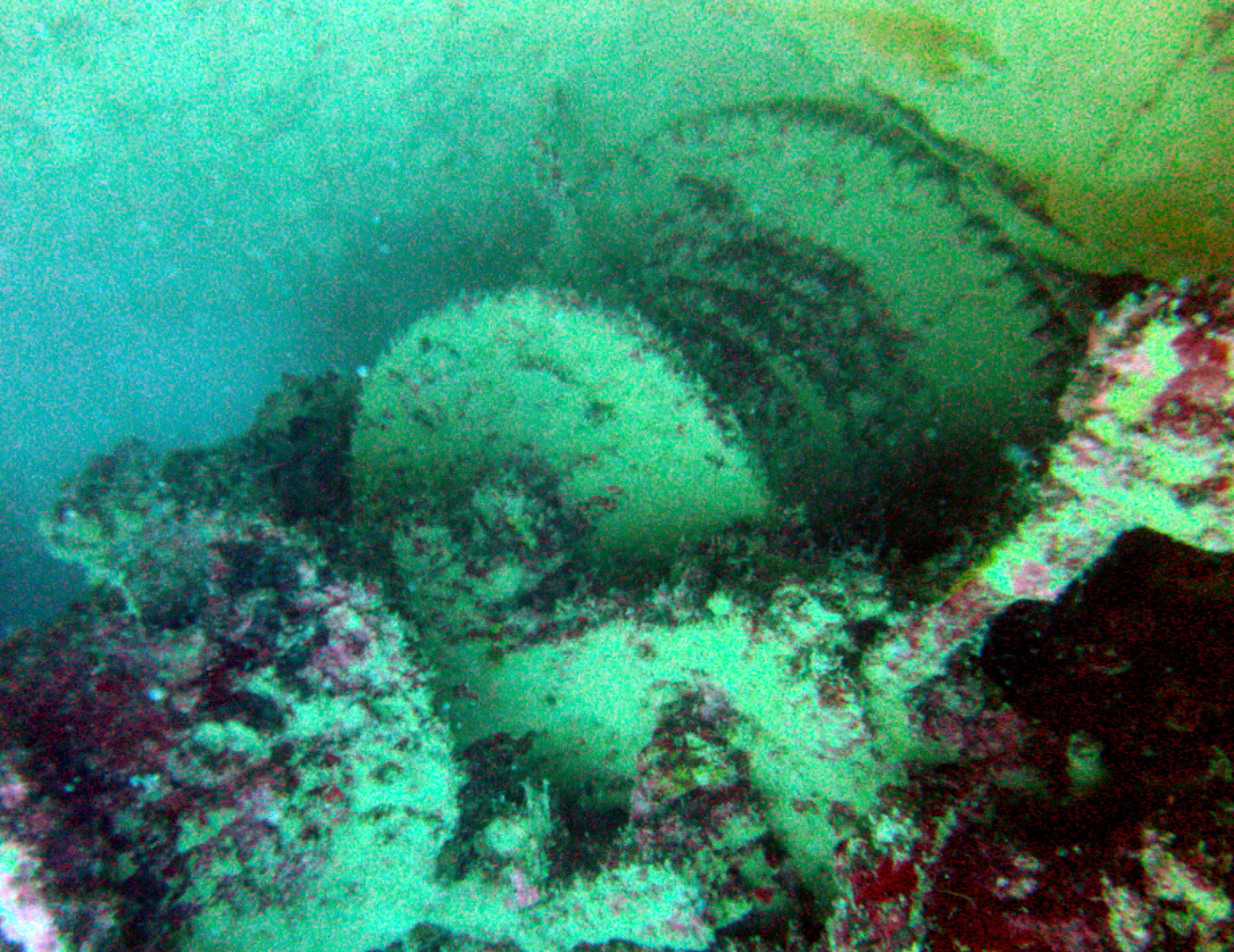 Winch with rope. (I turned the photo upside down for better viewing because the ship wrests upside down.)