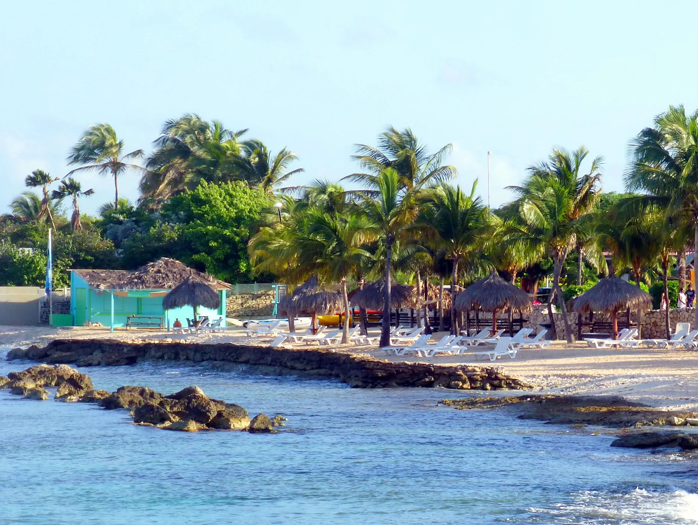 Bonaire underwater photograph, 2013