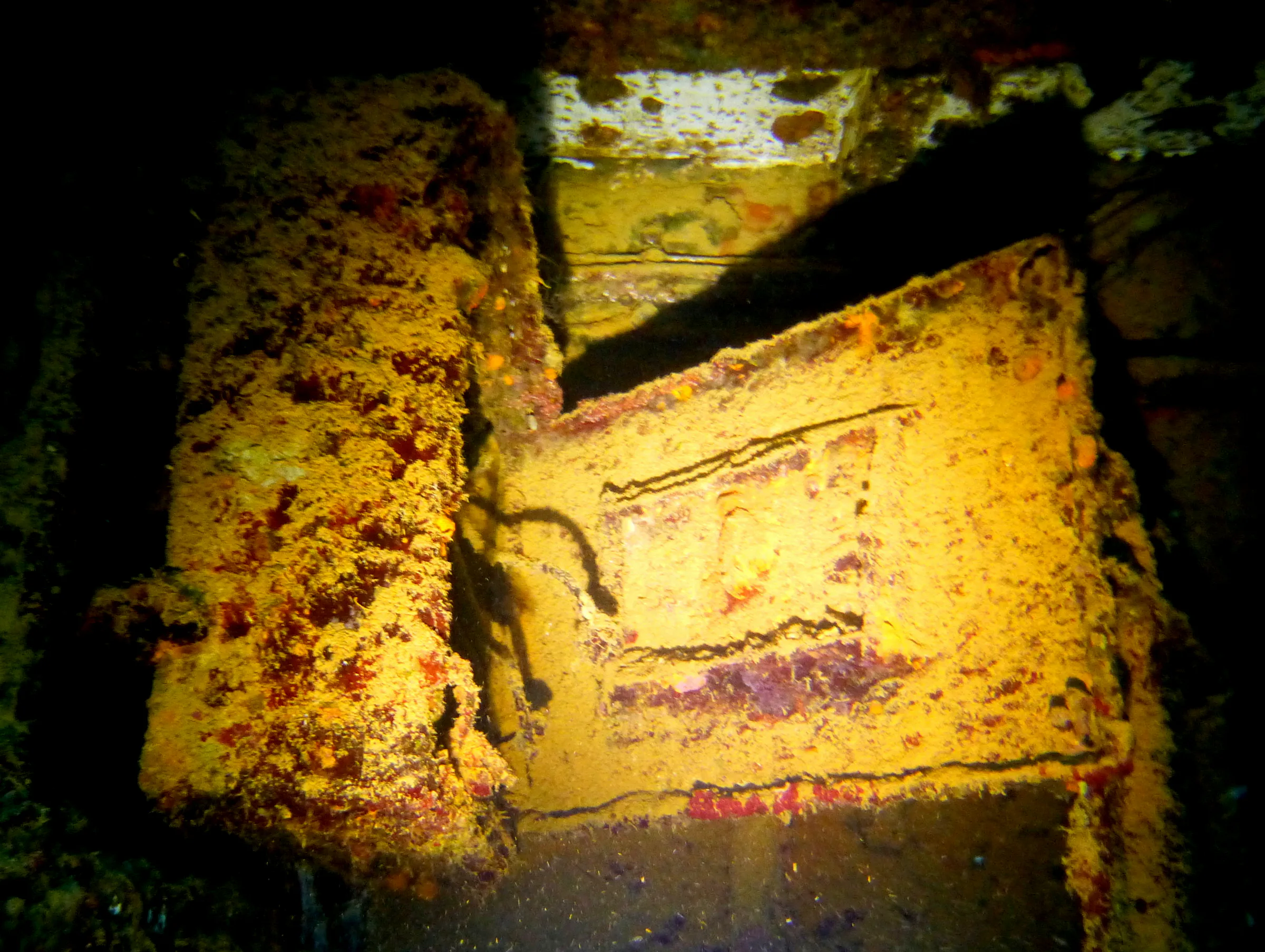 Palau underwater photograph, 2013