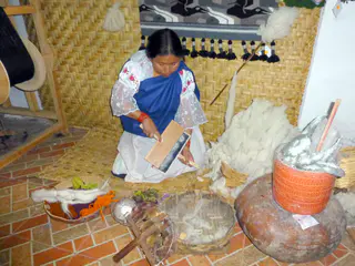 Owner's Demonstration.