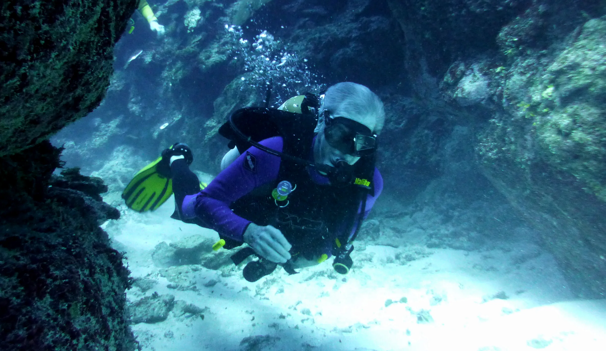 Ambergris Divers