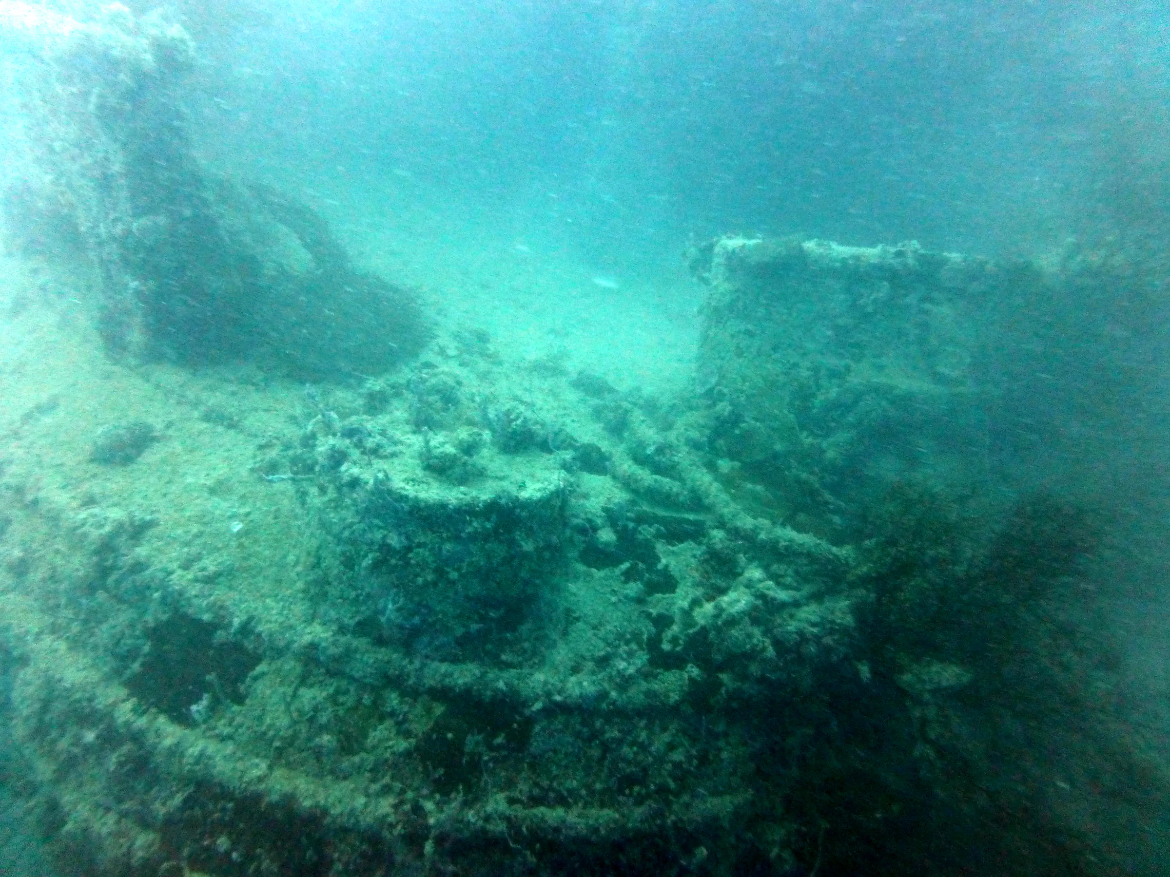 Palau underwater photograph, 2013