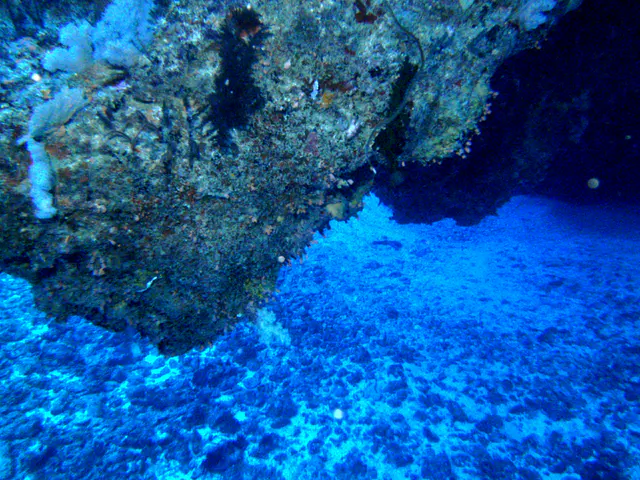 A portion of the Coral Bridge is above and sand & rubble below.