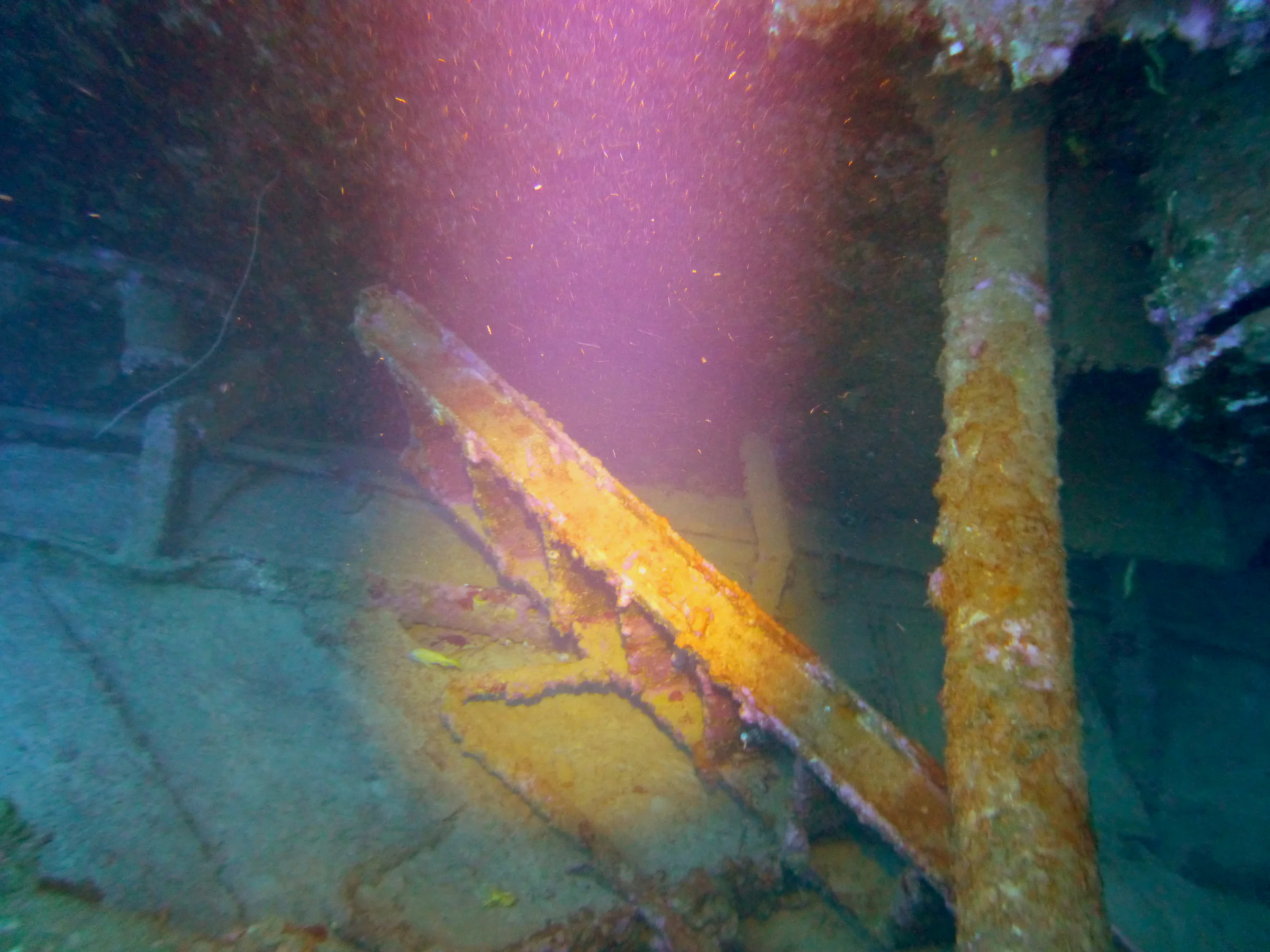 Bonaire underwater photograph, 2013