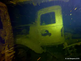 Underwater photograph by Joel Bergsma