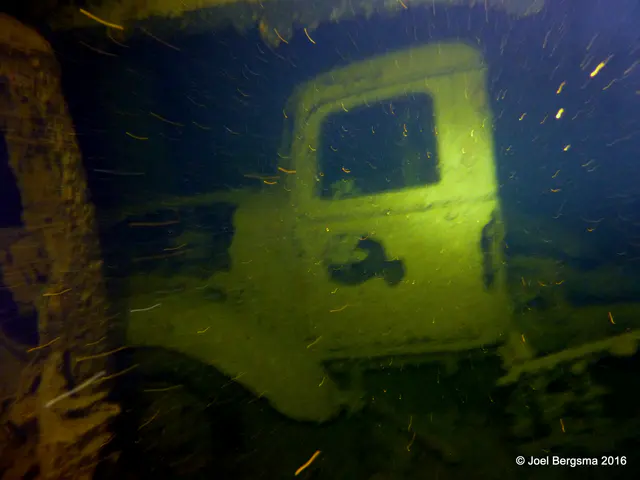 Underwater photograph by Joel Bergsma