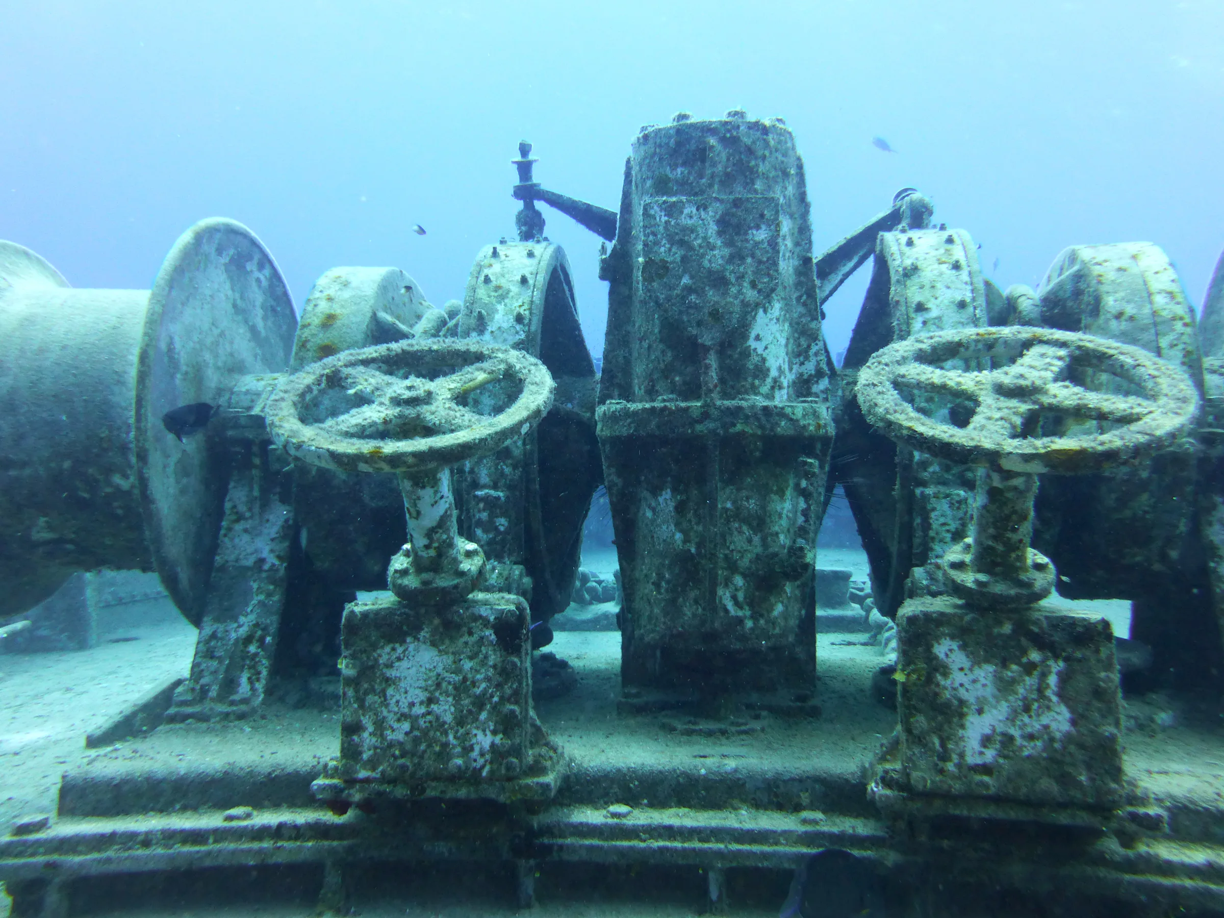 Cayman Islands underwater photograph, 2014