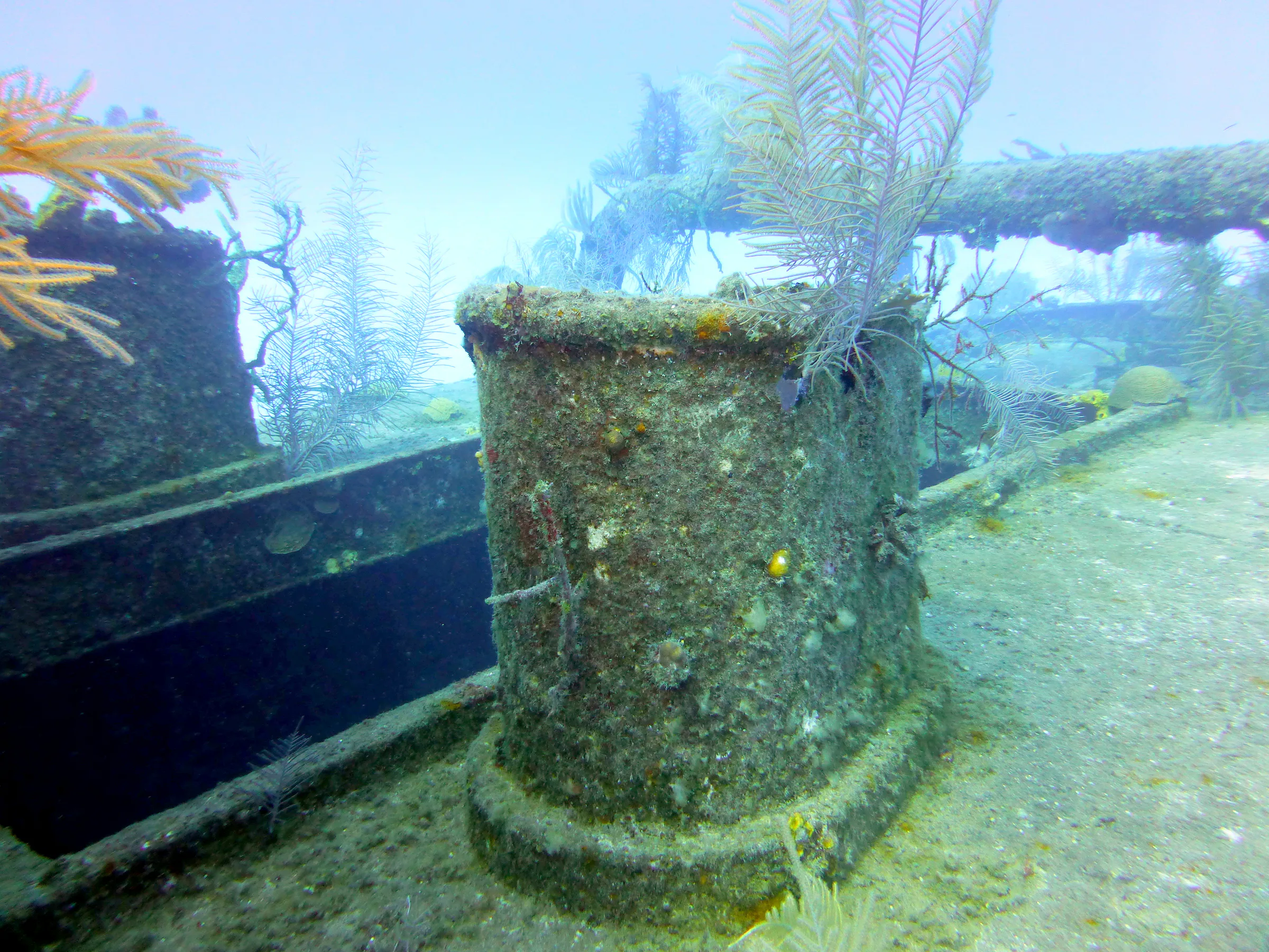 Cayman Islands underwater photograph, 2014