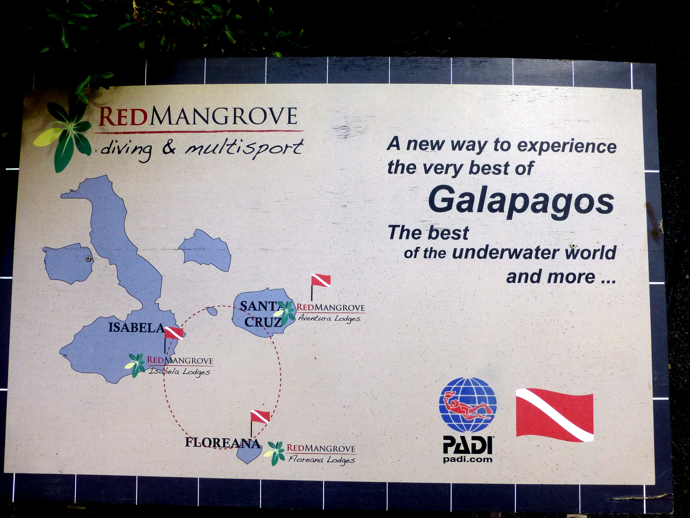 Map of the places we visited on our Red Mangrove tour through three islands.  Each boat ride ranged from 2 to nearly 3 hours.  We rode the boat to Floreana Island in the afternoon of July 2.