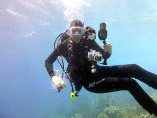 Underwater photograph by Joel Bergsma