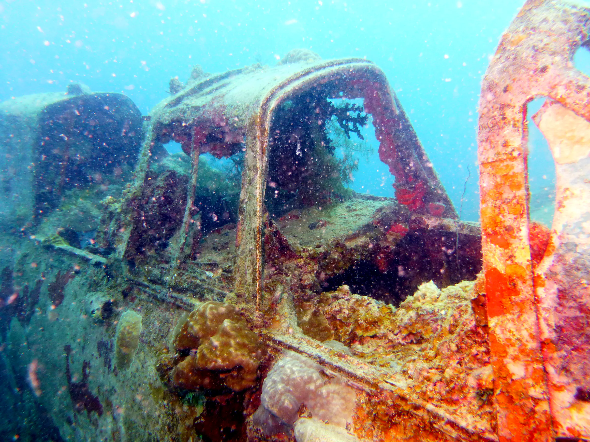 Palau underwater photograph, 2013