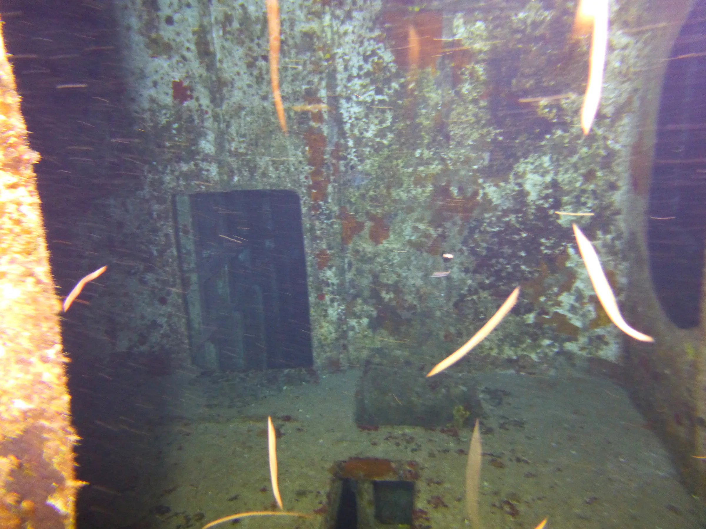 Cayman Islands underwater photograph, 2014