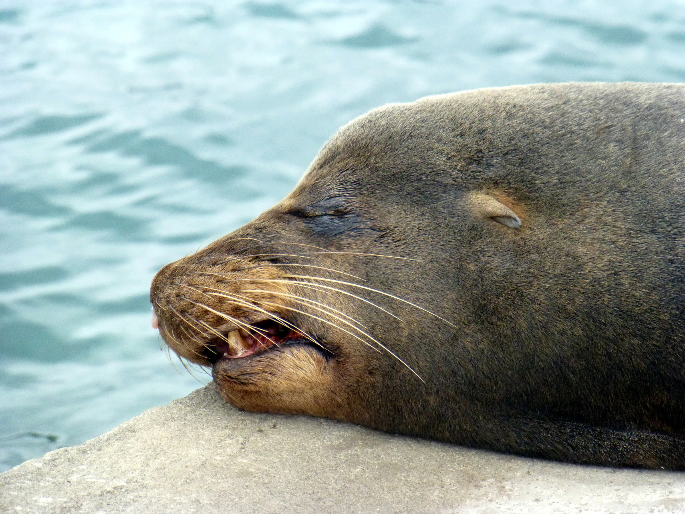 Snoring.